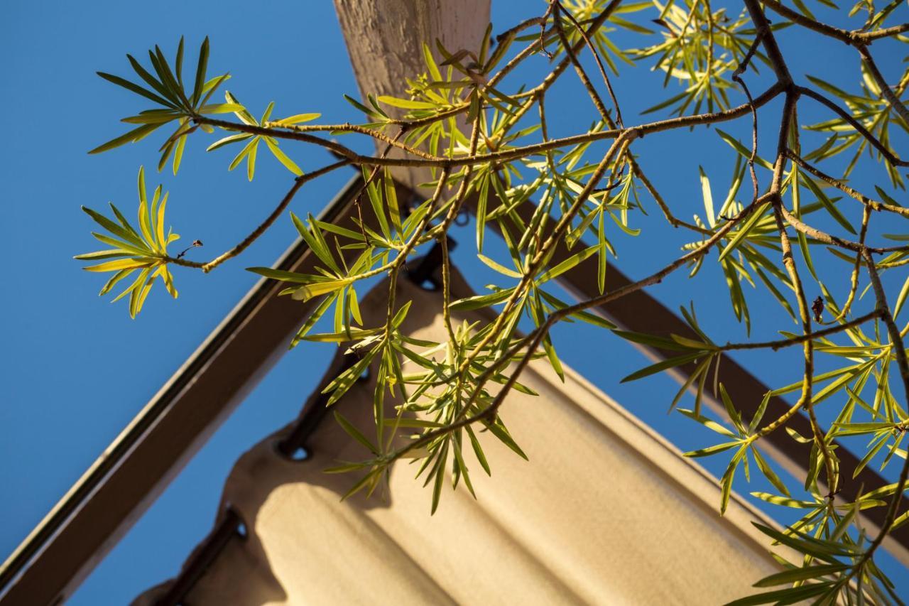 Riad El Maktoub Marrakesh Ngoại thất bức ảnh